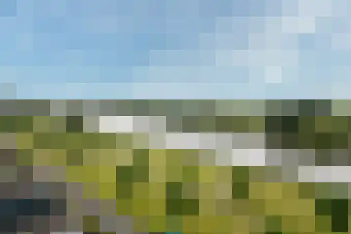 Kaardebol 9 De Meern thumbnail 38