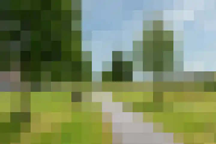 Kaardebol 9 De Meern thumbnail 39