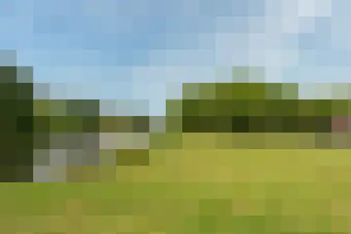 Kaardebol 9 De Meern thumbnail 40