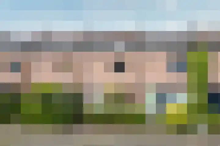 Kaardebol 9 De Meern thumbnail 48