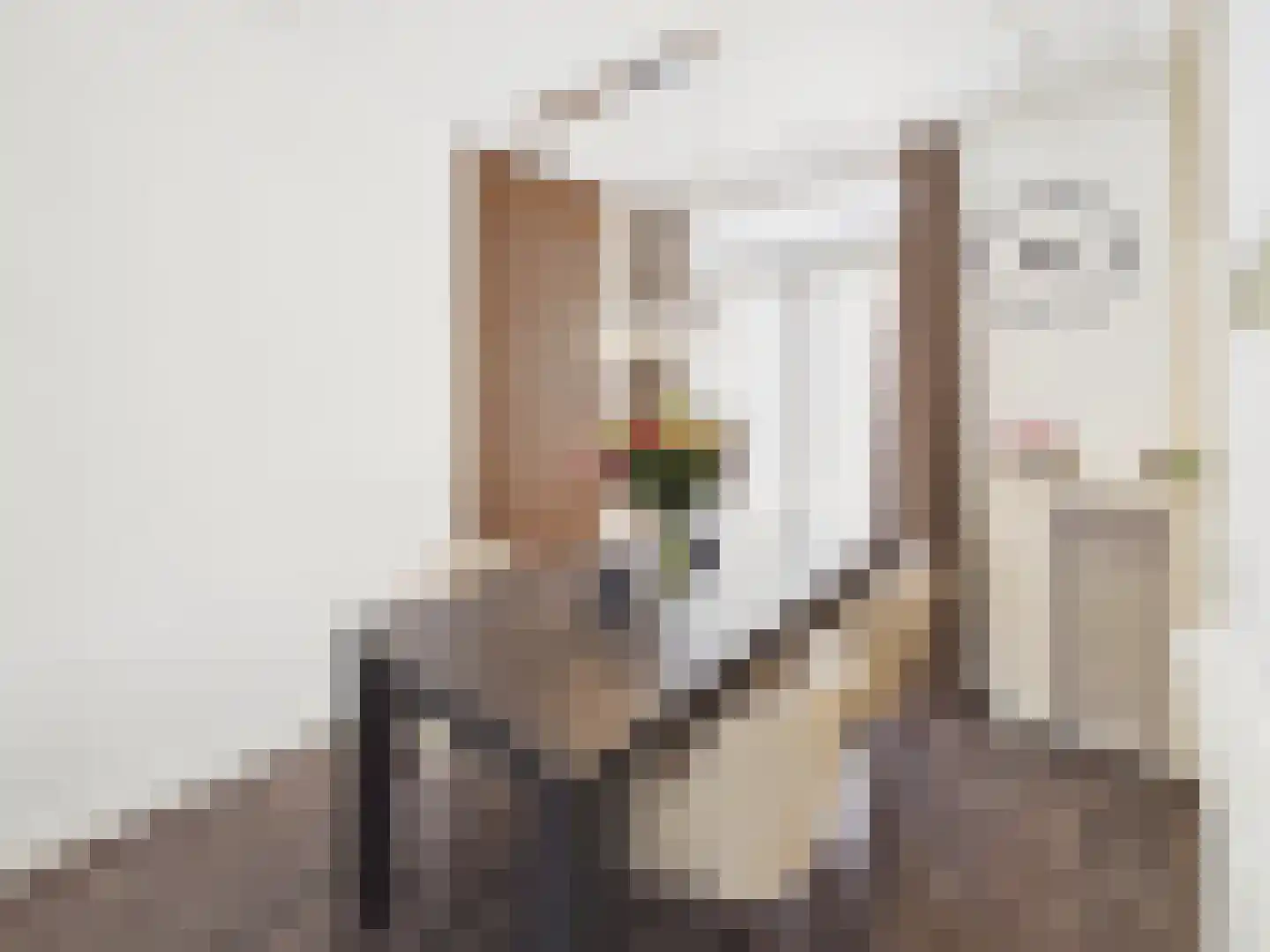 Kaardebolstraat 7 Terneuzen thumbnail 10