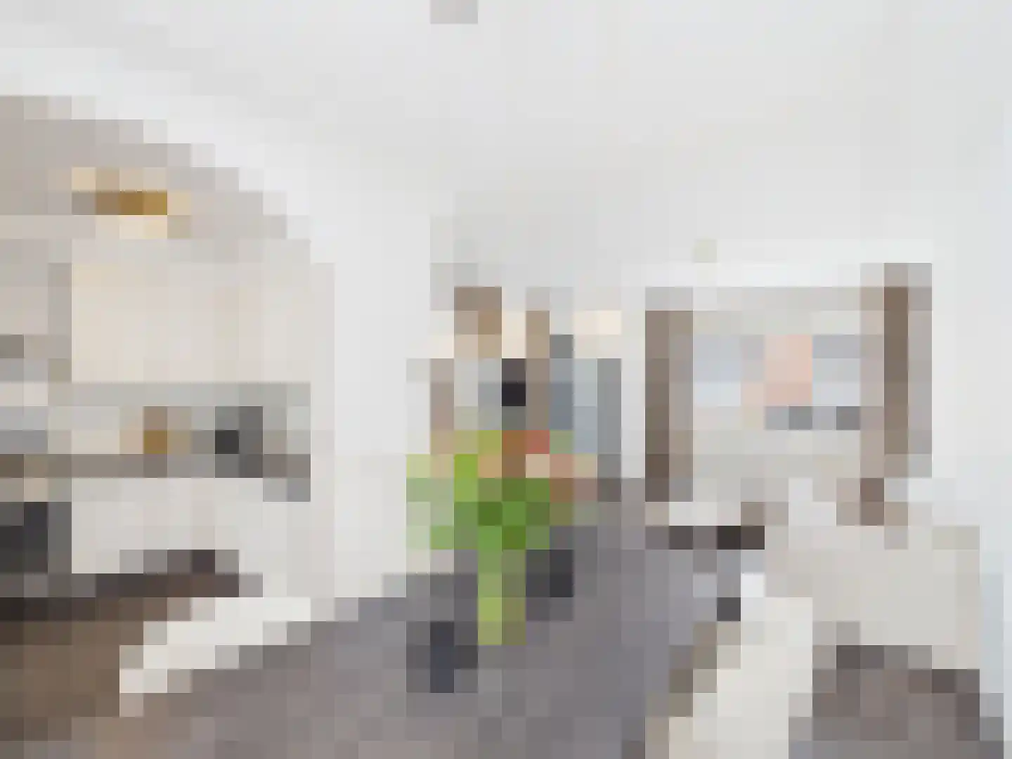 Kaardebolstraat 7 Terneuzen thumbnail 12