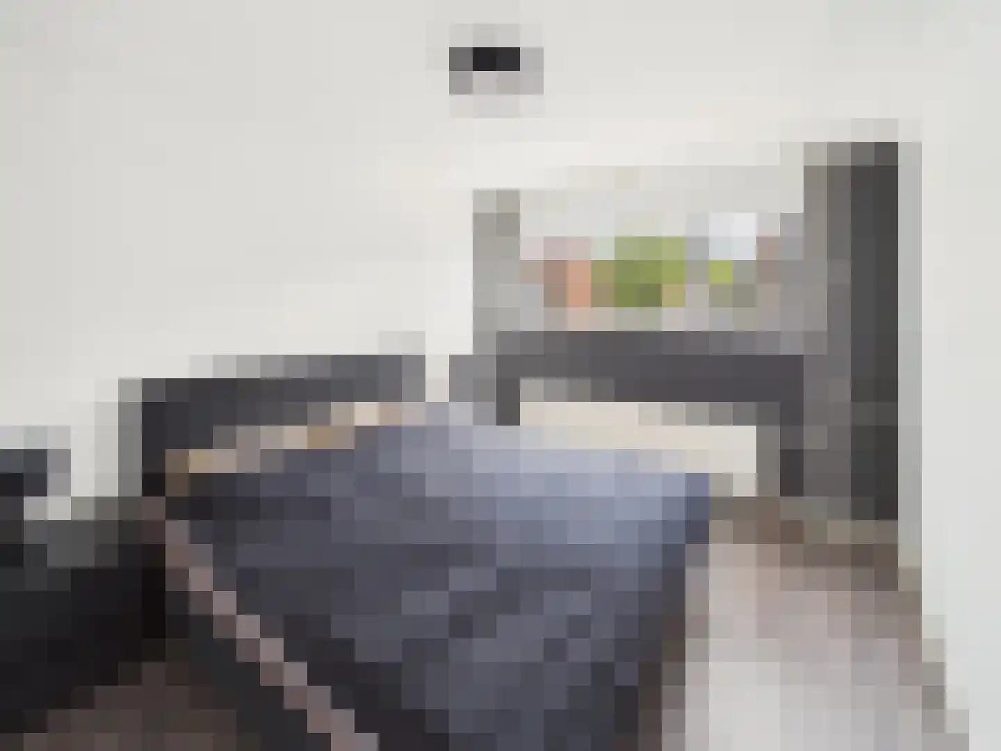 Kaardebolstraat 7 Terneuzen thumbnail 20