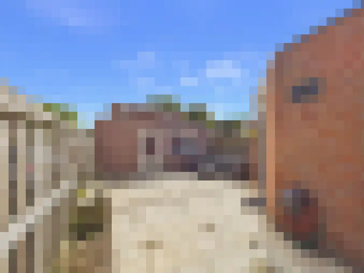Kaardebolstraat 7 Terneuzen thumbnail 35