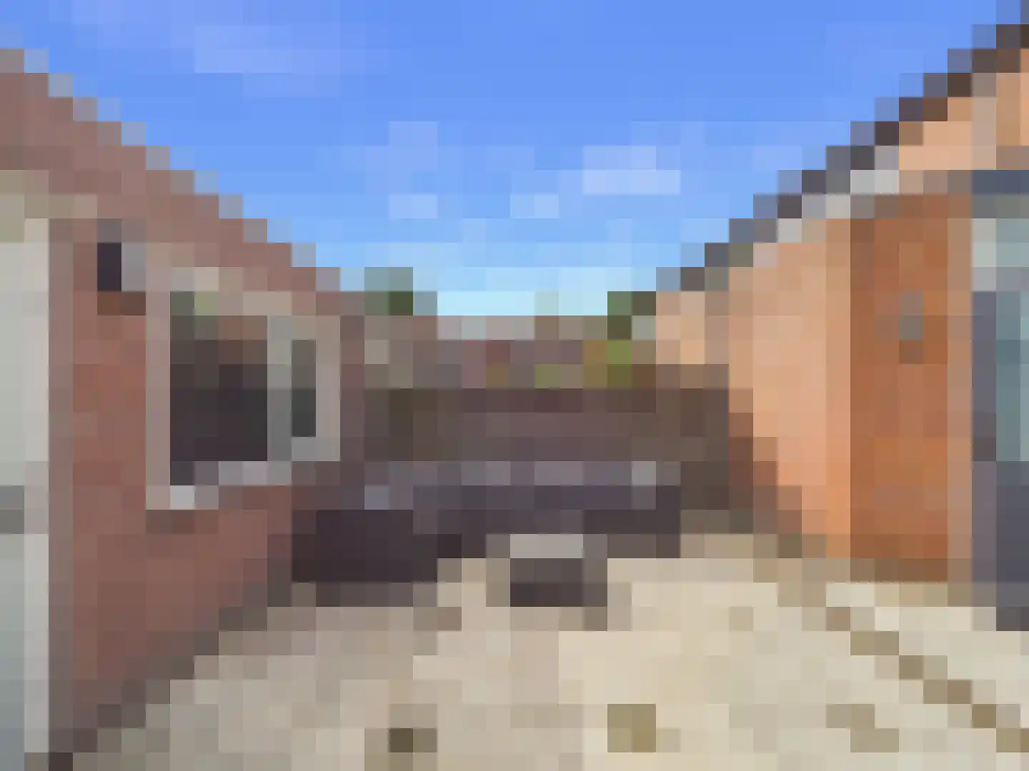 Kaardebolstraat 7 Terneuzen thumbnail 36