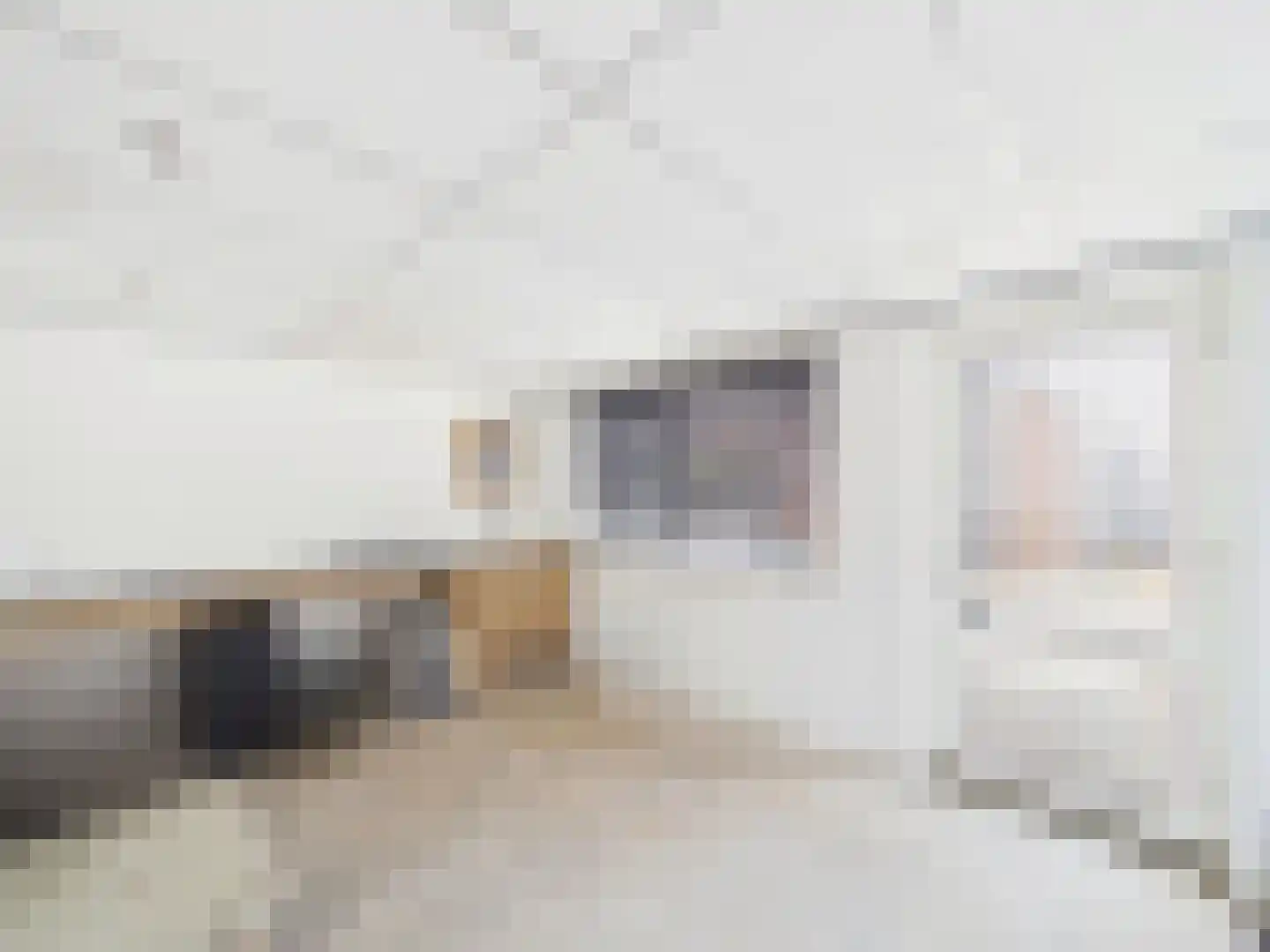 Kaardebolstraat 7 Terneuzen thumbnail 39