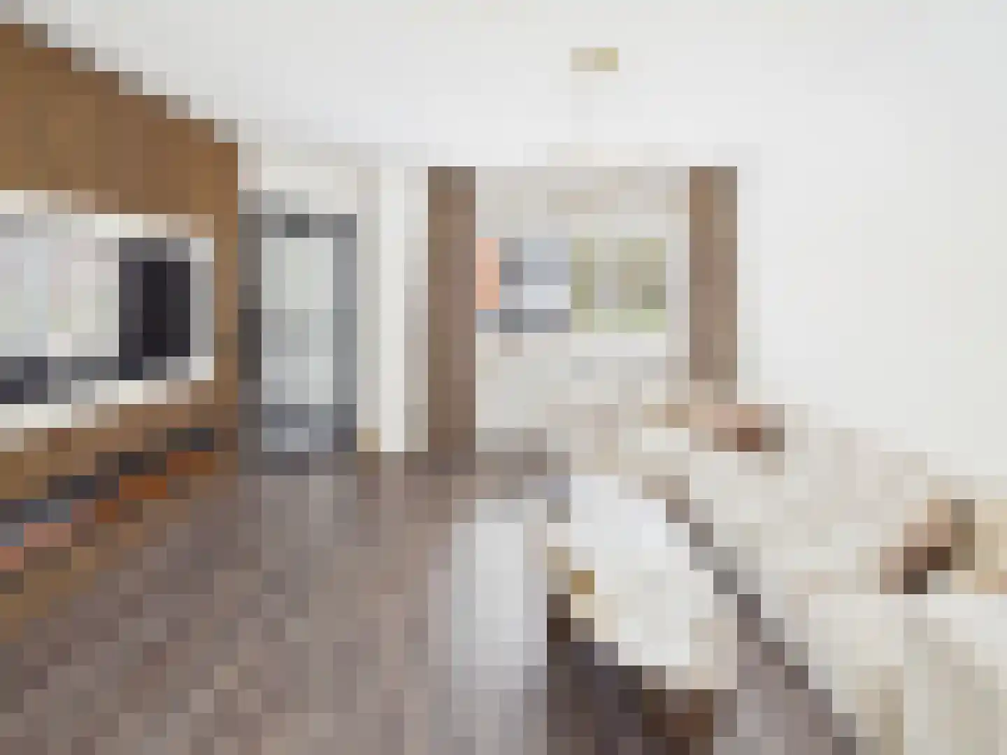 Kaardebolstraat 7 Terneuzen thumbnail 4