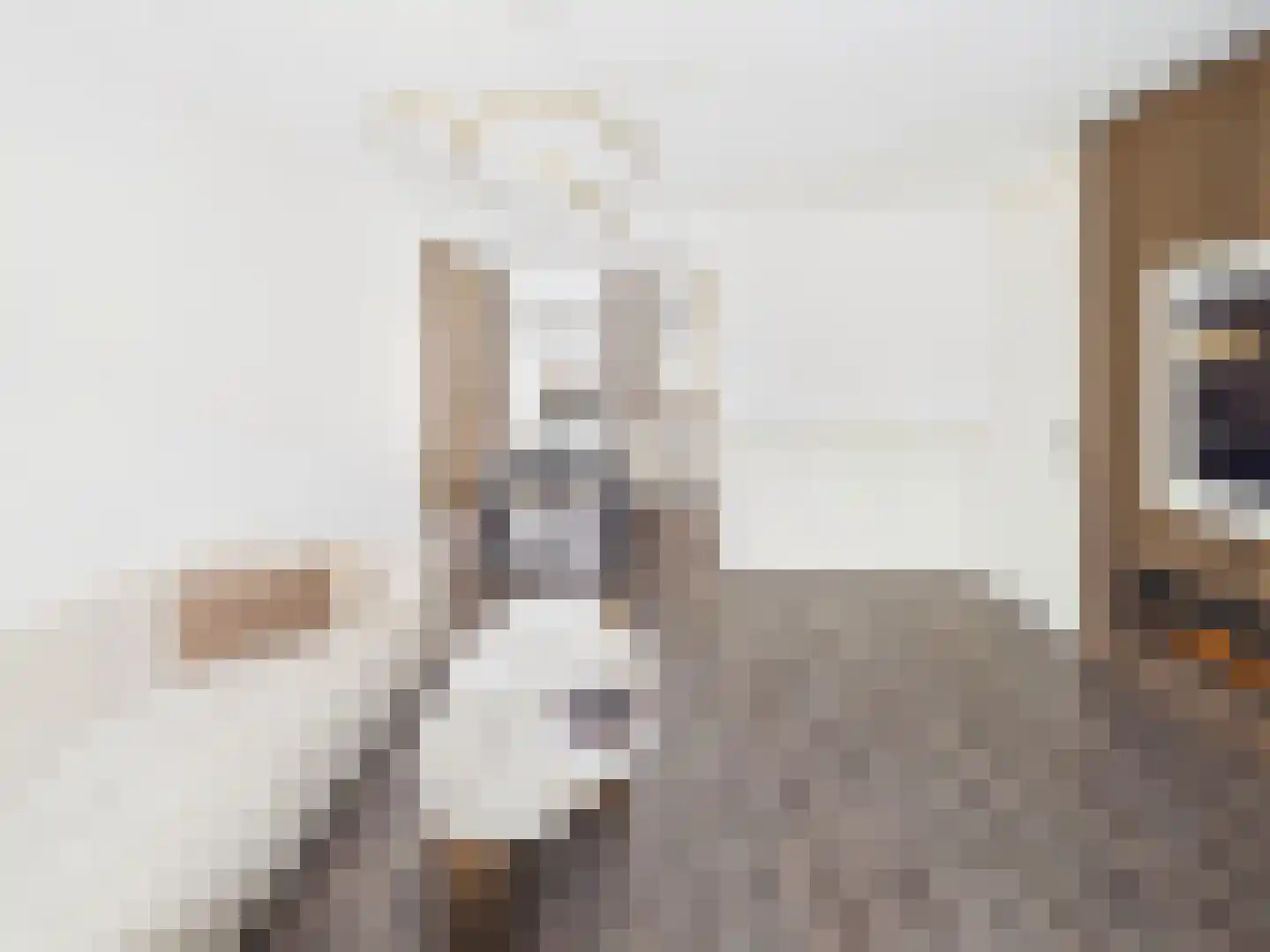 Kaardebolstraat 7 Terneuzen thumbnail 6