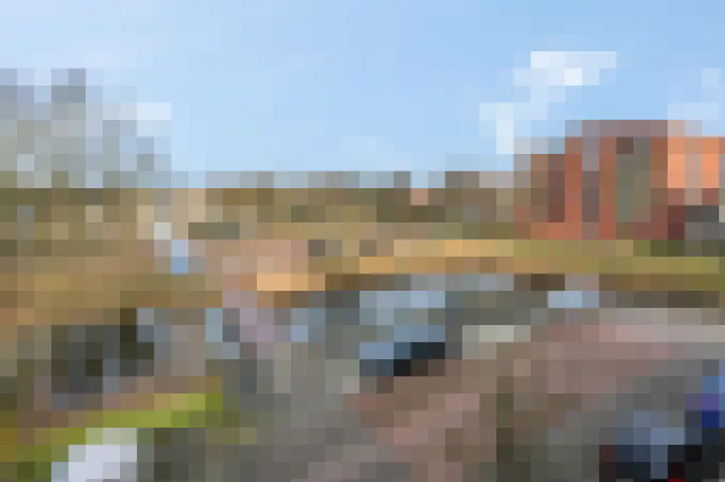 Kaardenbol 52 Veenendaal thumbnail 14