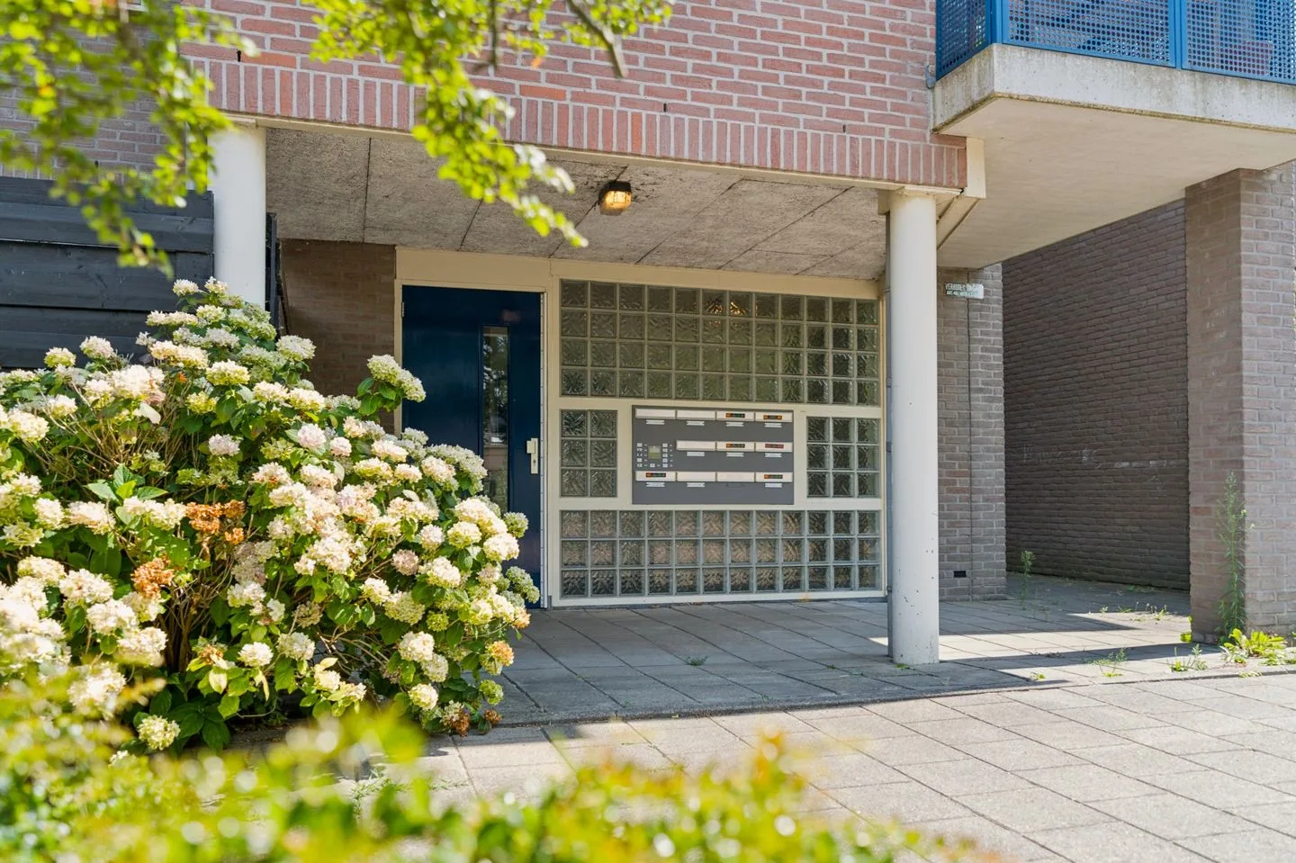Kaardenbol 56 Veenendaal thumbnail 11