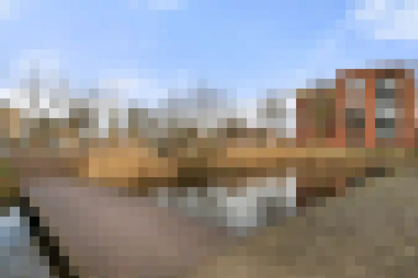 Kaardenbol 58 Veenendaal thumbnail 33