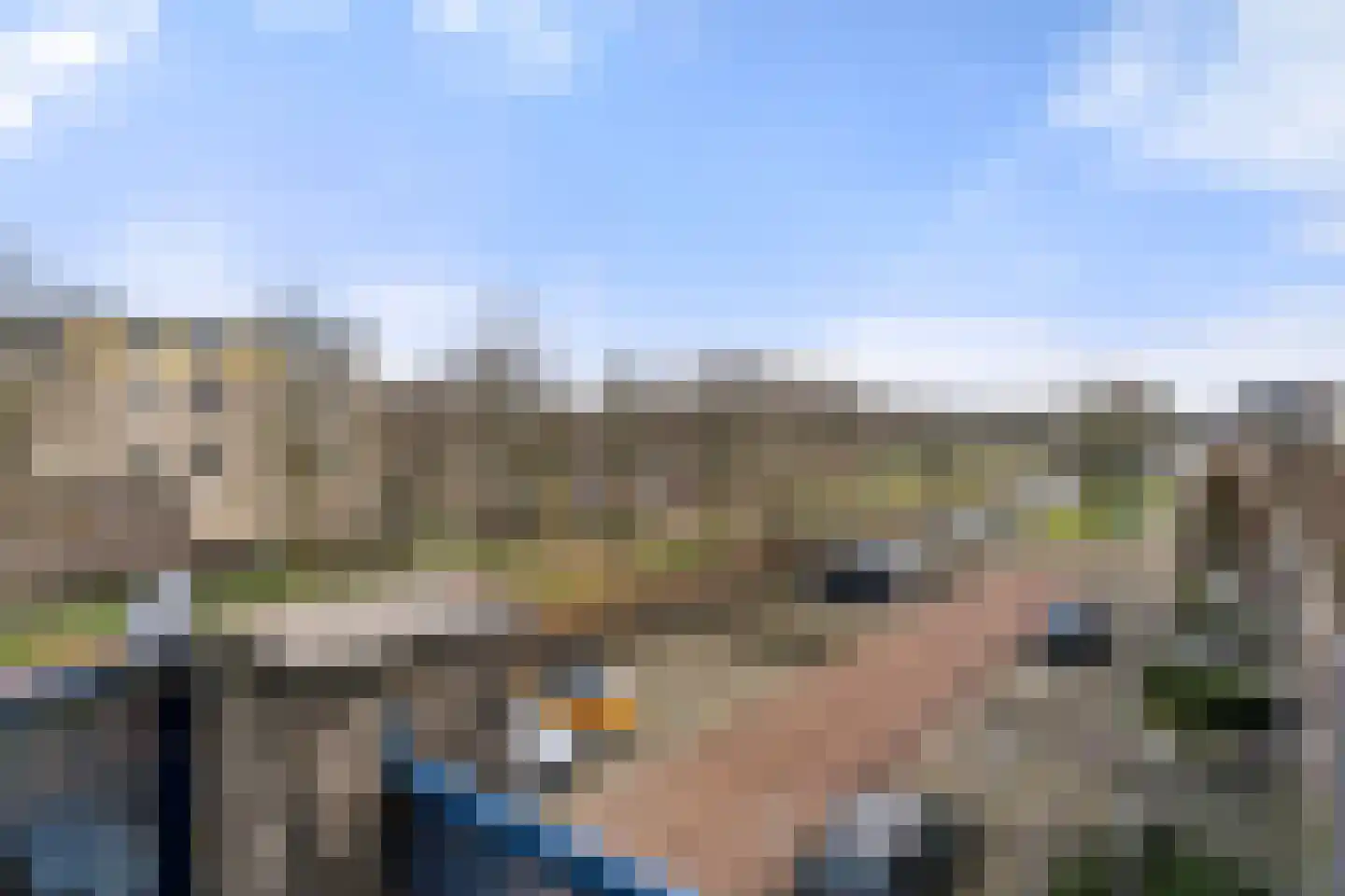 Kaardenbol 58 Veenendaal thumbnail 5