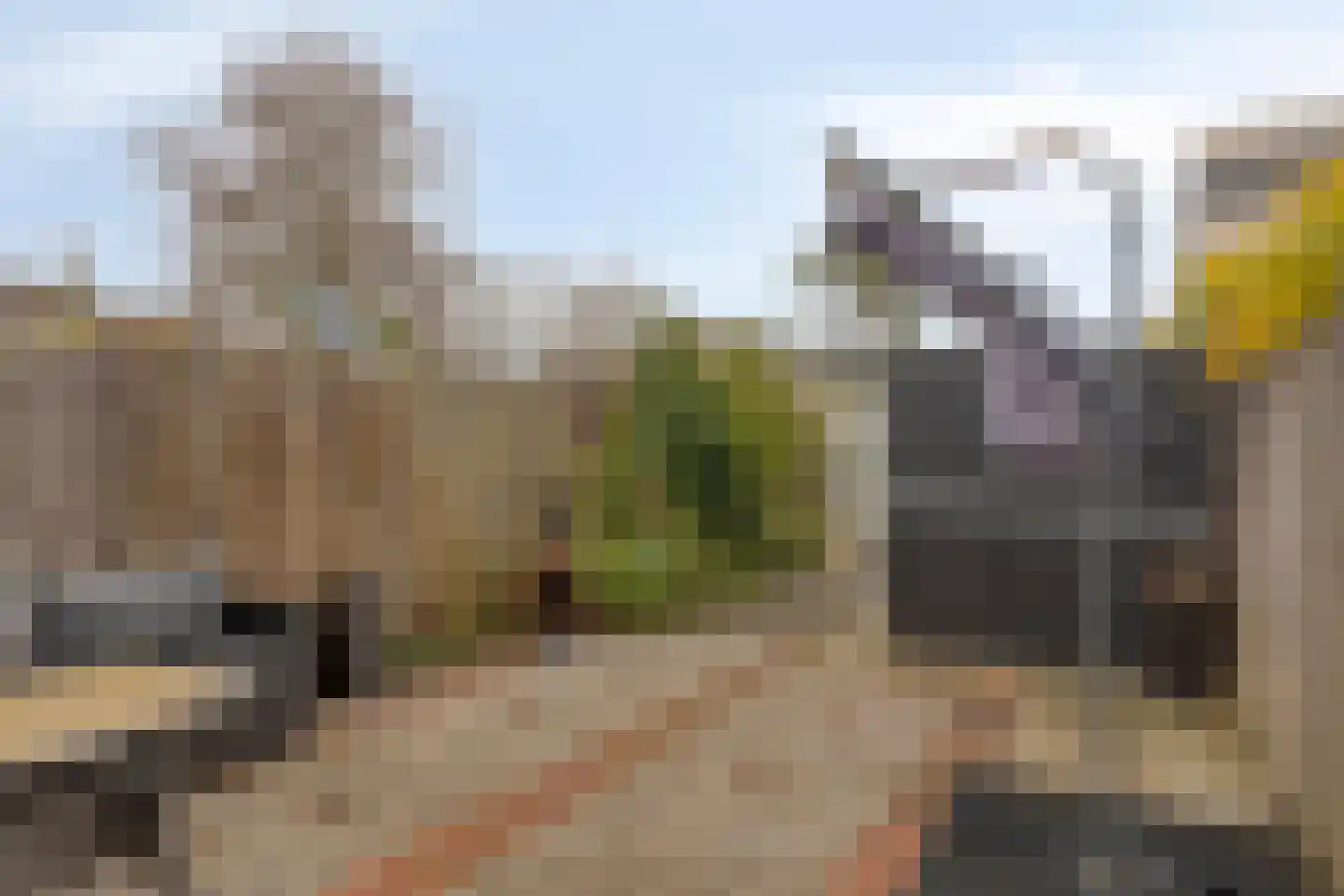 Kaarder 14 Hoorn thumbnail 29