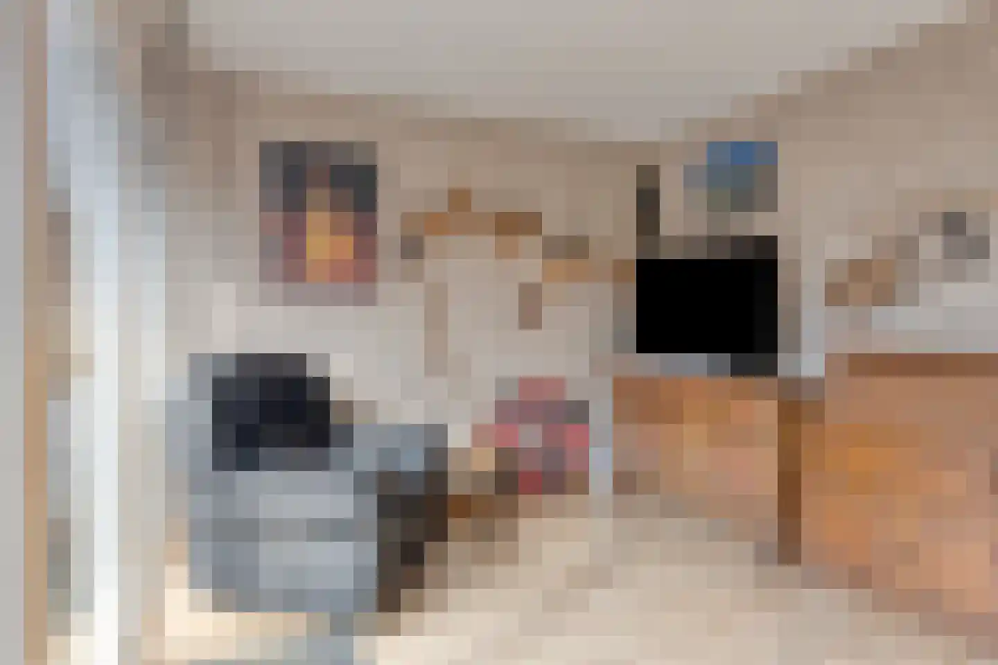 Kaarder 14 Hoorn thumbnail 8