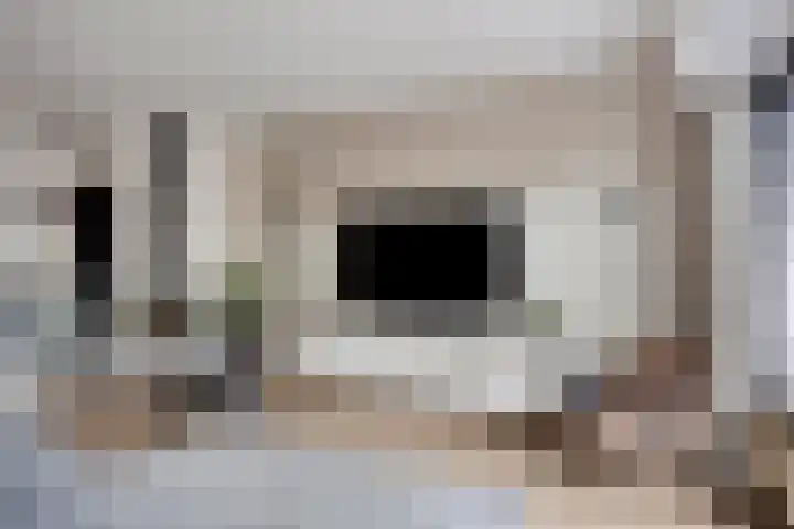 Kaarder 2 Hoorn thumbnail 11