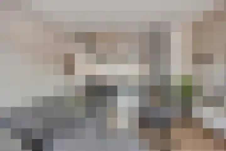 Kaarder 2 Hoorn thumbnail 13