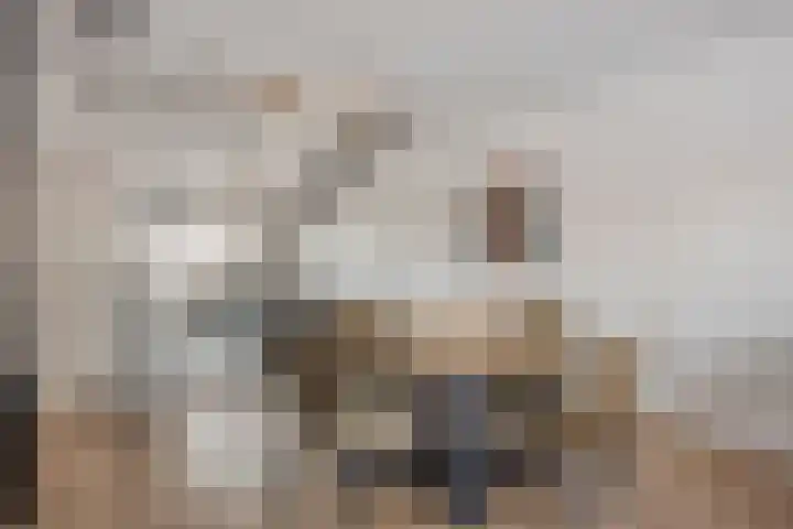 Kaarder 2 Hoorn thumbnail 14