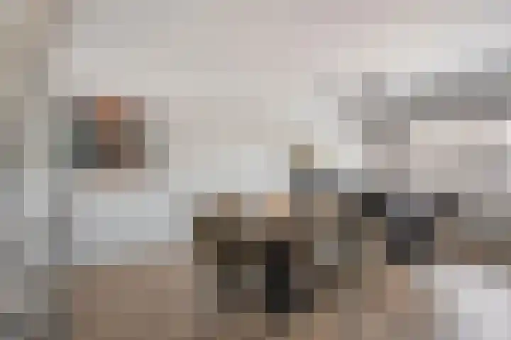 Kaarder 2 Hoorn thumbnail 15