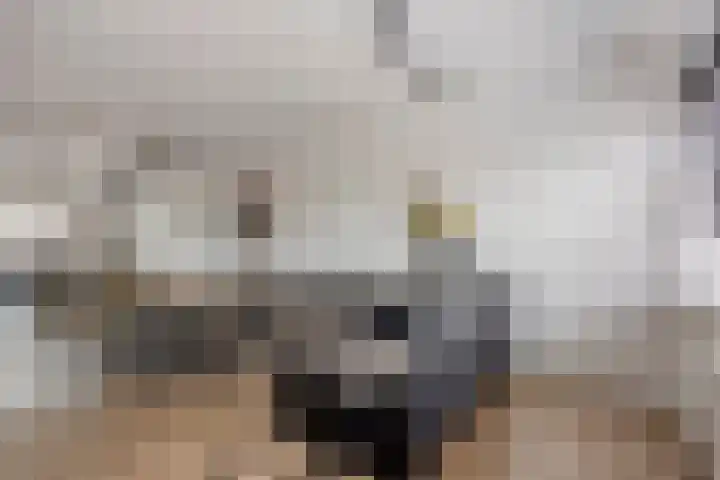 Kaarder 2 Hoorn thumbnail 16