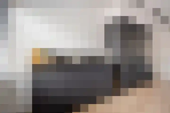 Kaarder 2 Hoorn thumbnail 17