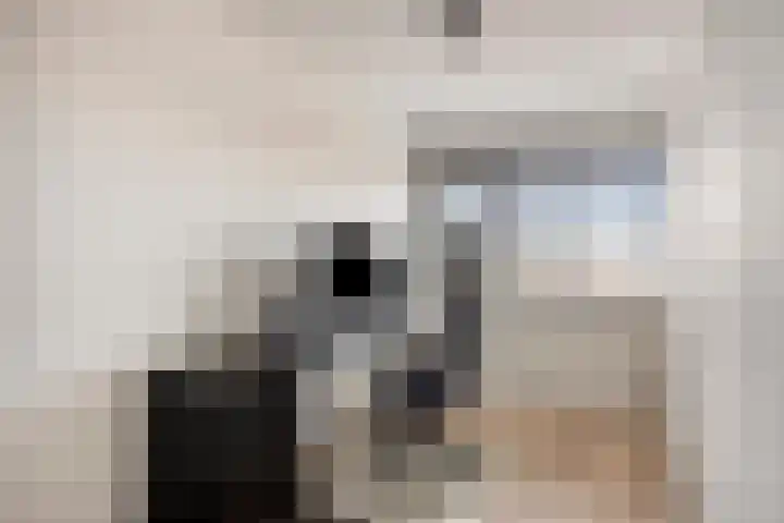 Kaarder 2 Hoorn thumbnail 22