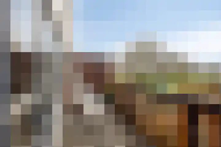 Kaarder 2 Hoorn thumbnail 28