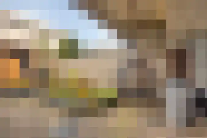 Kaarder 2 Hoorn thumbnail 29