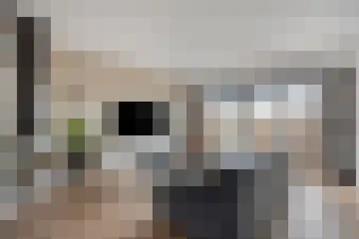 Kaarder 2 Hoorn foto 3
