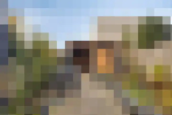 Kaarder 2 Hoorn thumbnail 30