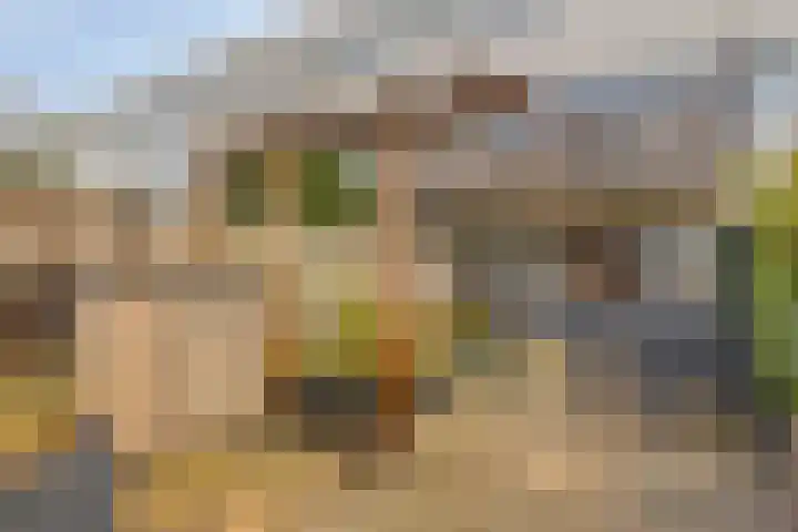 Kaarder 2 Hoorn thumbnail 32