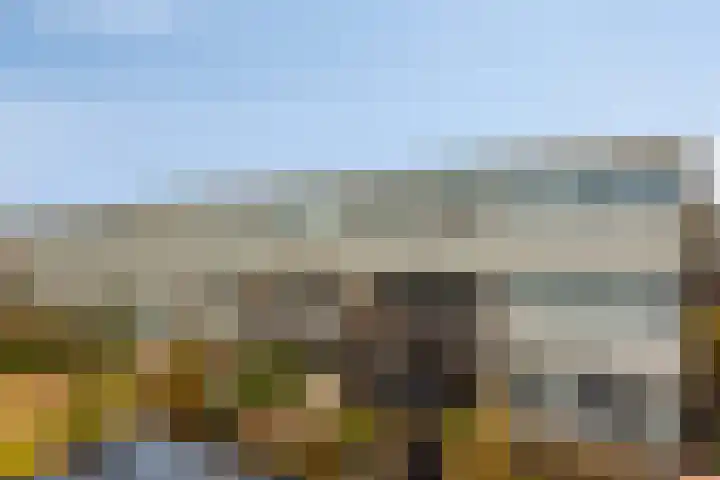Kaarder 2 Hoorn thumbnail 33