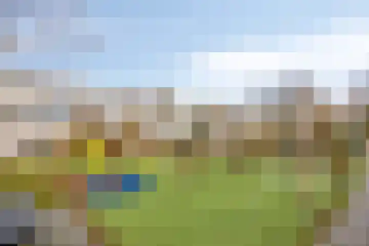 Kaarder 2 Hoorn thumbnail 35