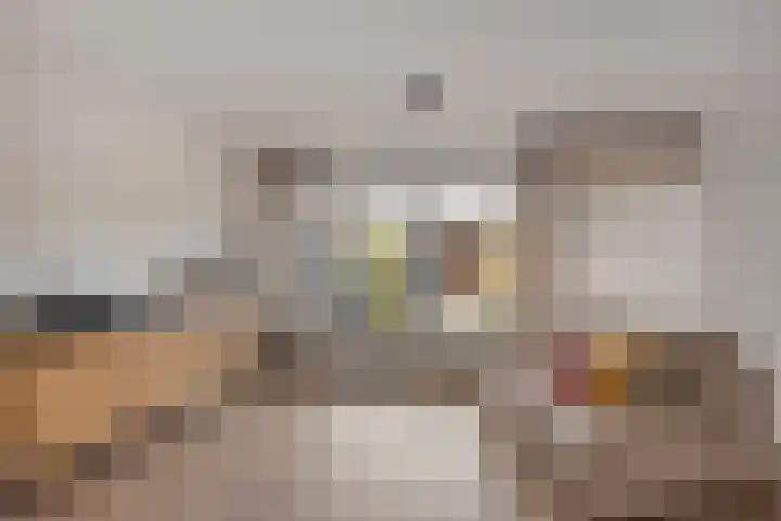Kaarder 2 Hoorn thumbnail 7