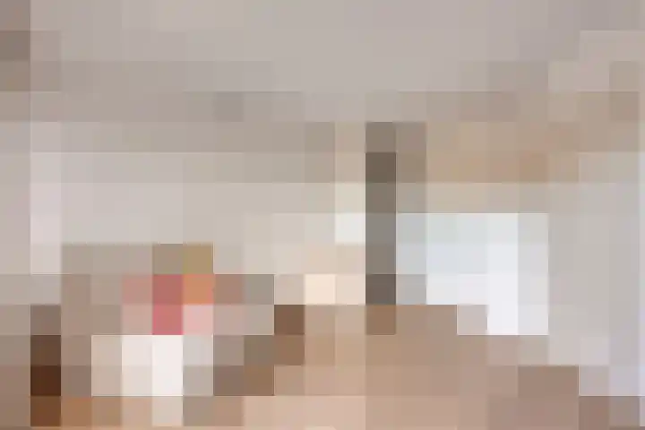 Kaarder 2 Hoorn thumbnail 8