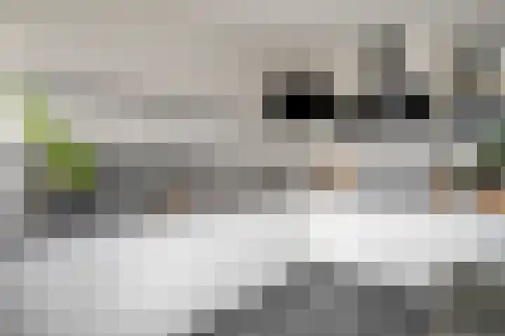 Kaarder 22 Hoorn thumbnail 10