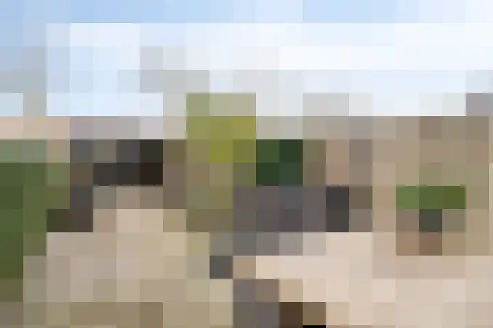 Kaarder 22 Hoorn thumbnail 21
