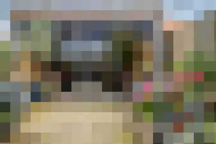 Kaarder 22 Hoorn thumbnail 22