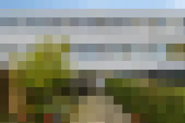 Kaarder 22 Hoorn thumbnail 25