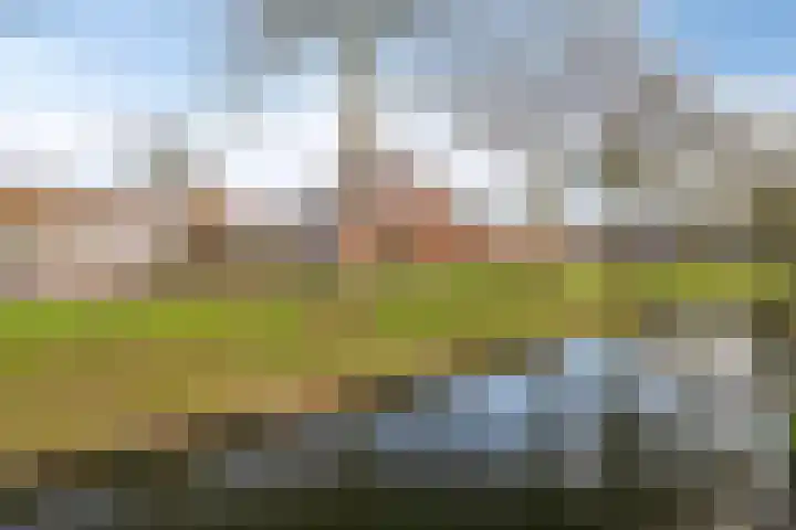 Kaarder 22 Hoorn thumbnail 26