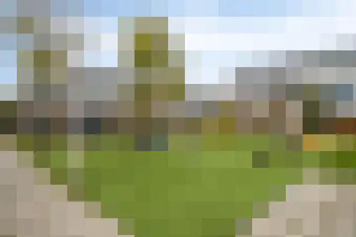 Kaarder 22 Hoorn thumbnail 27