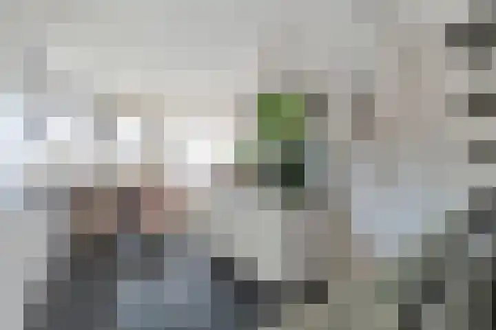 Kaarder 22 Hoorn thumbnail 9