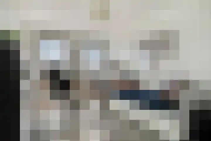 Kaarder 34 Hoorn thumbnail 17