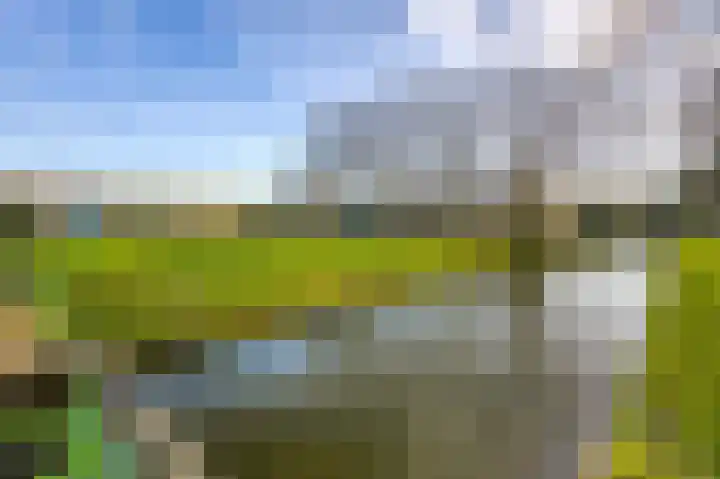 Kaarder 34 Hoorn thumbnail 8