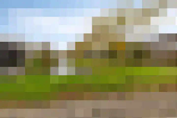 Kaarder 96 Hoorn thumbnail 21