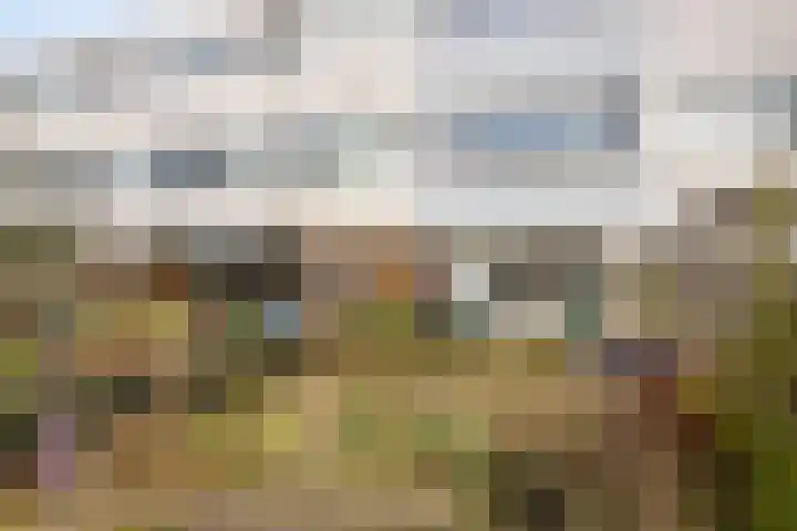 Kaarder 96 Hoorn thumbnail 4