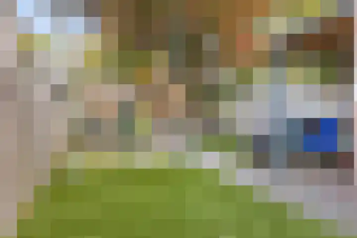 Kaarderhof 30 Helmond thumbnail 27