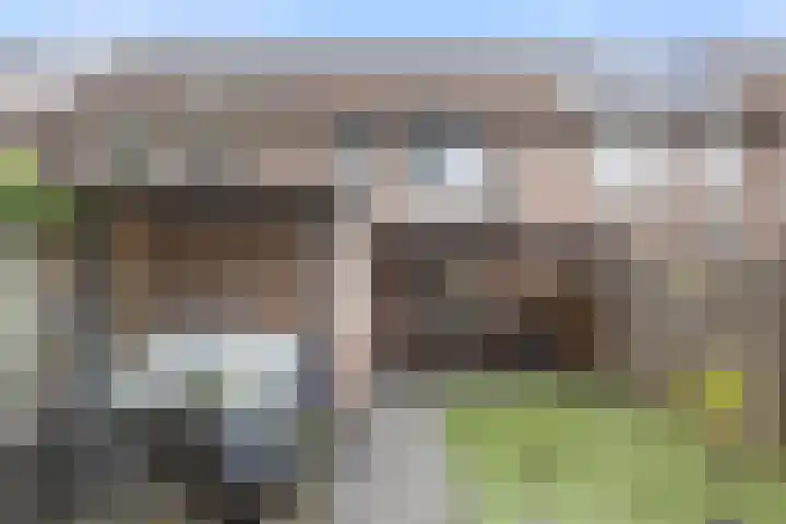 Kaarderhof 30 Helmond thumbnail 28