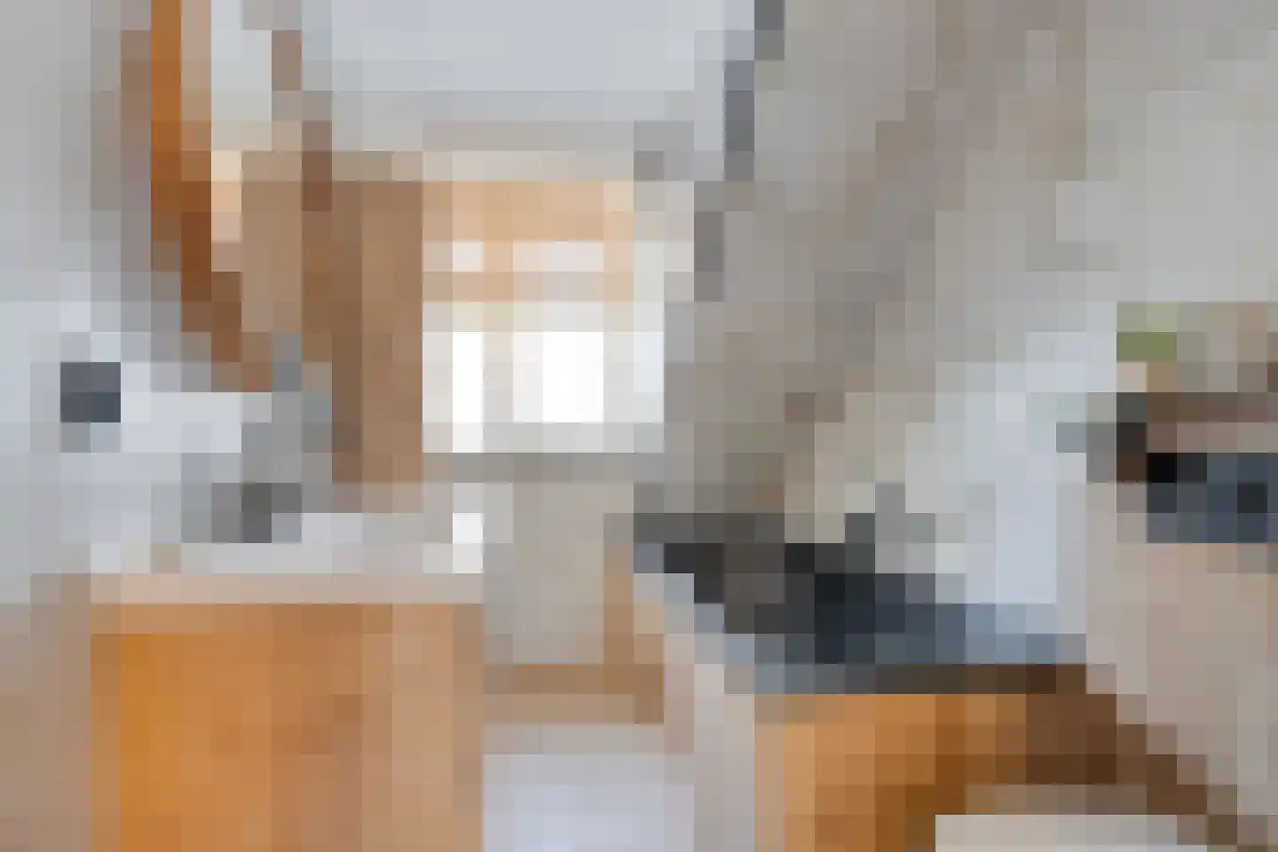 Kaarderhof 53 Helmond thumbnail 20