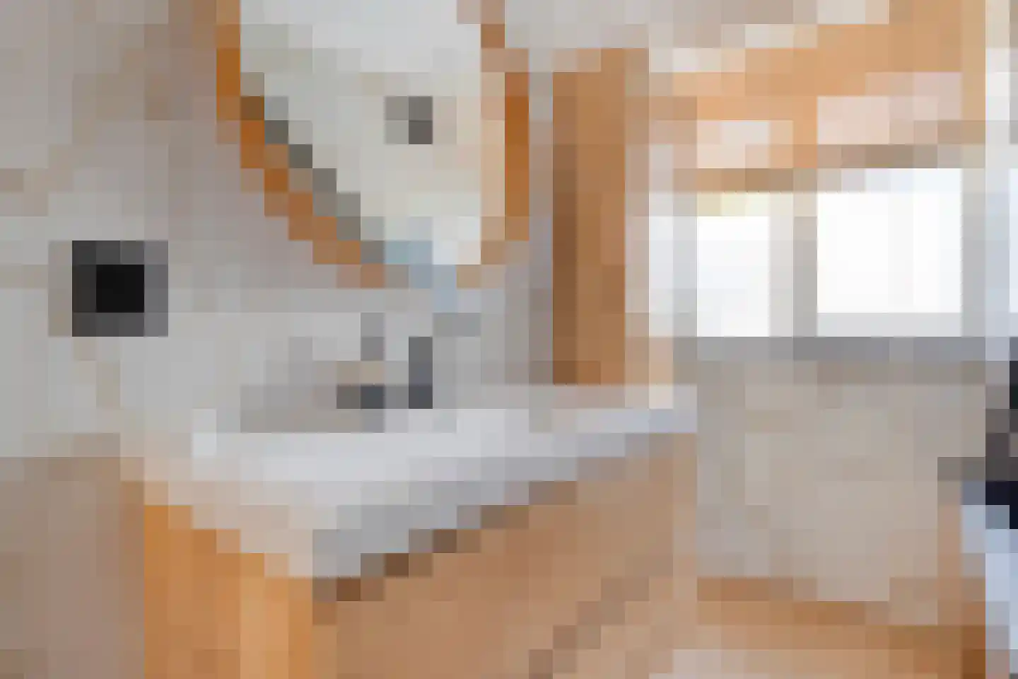 Kaarderhof 53 Helmond thumbnail 21
