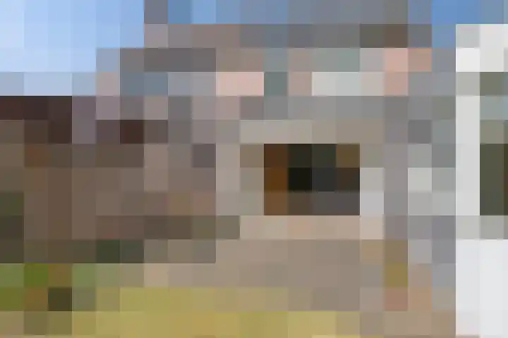 Kaarderhof 58 Helmond thumbnail 25